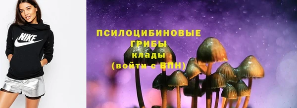 PSILOCYBIN Нягань