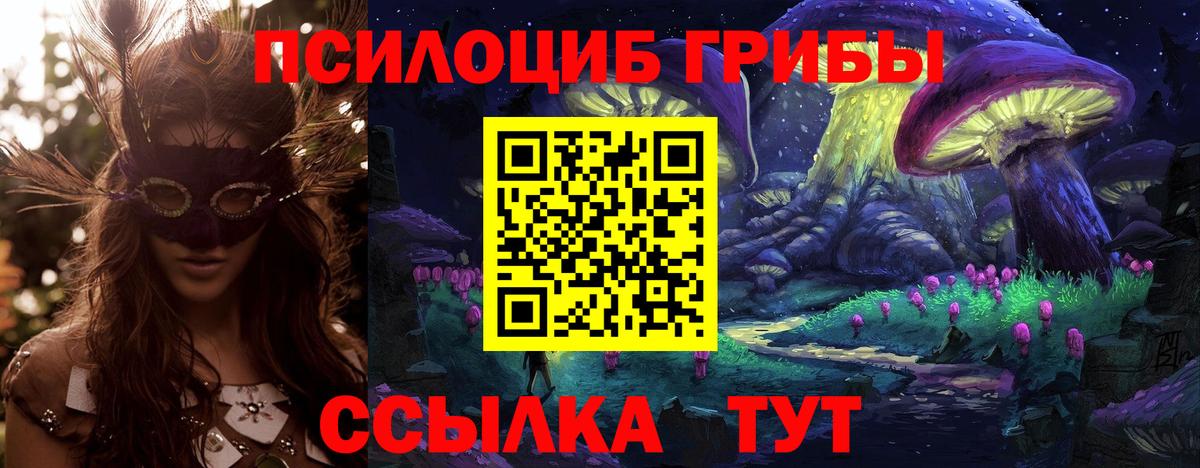 Крымск  Галлюциногенные грибы прущие грибы  Вход с VPN 